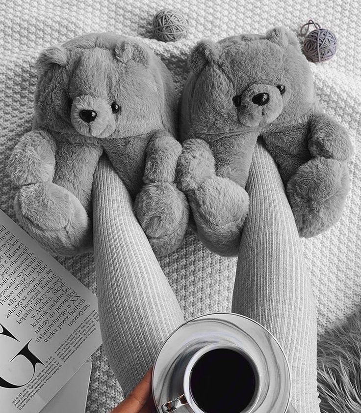 Teddy Custom Slippers