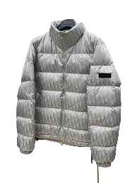 Dior Oblique Down Jacket