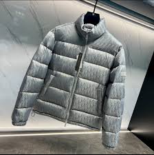 Dior Oblique Down Jacket